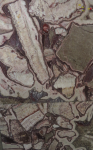 Schausammlung des Polnischen Geologischen Institutes
